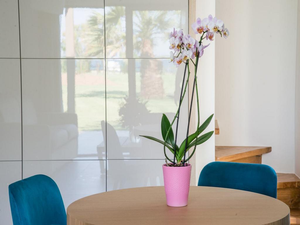 Tiamo Secrets - Palm Garden Villa Vourvourou Bagian luar foto